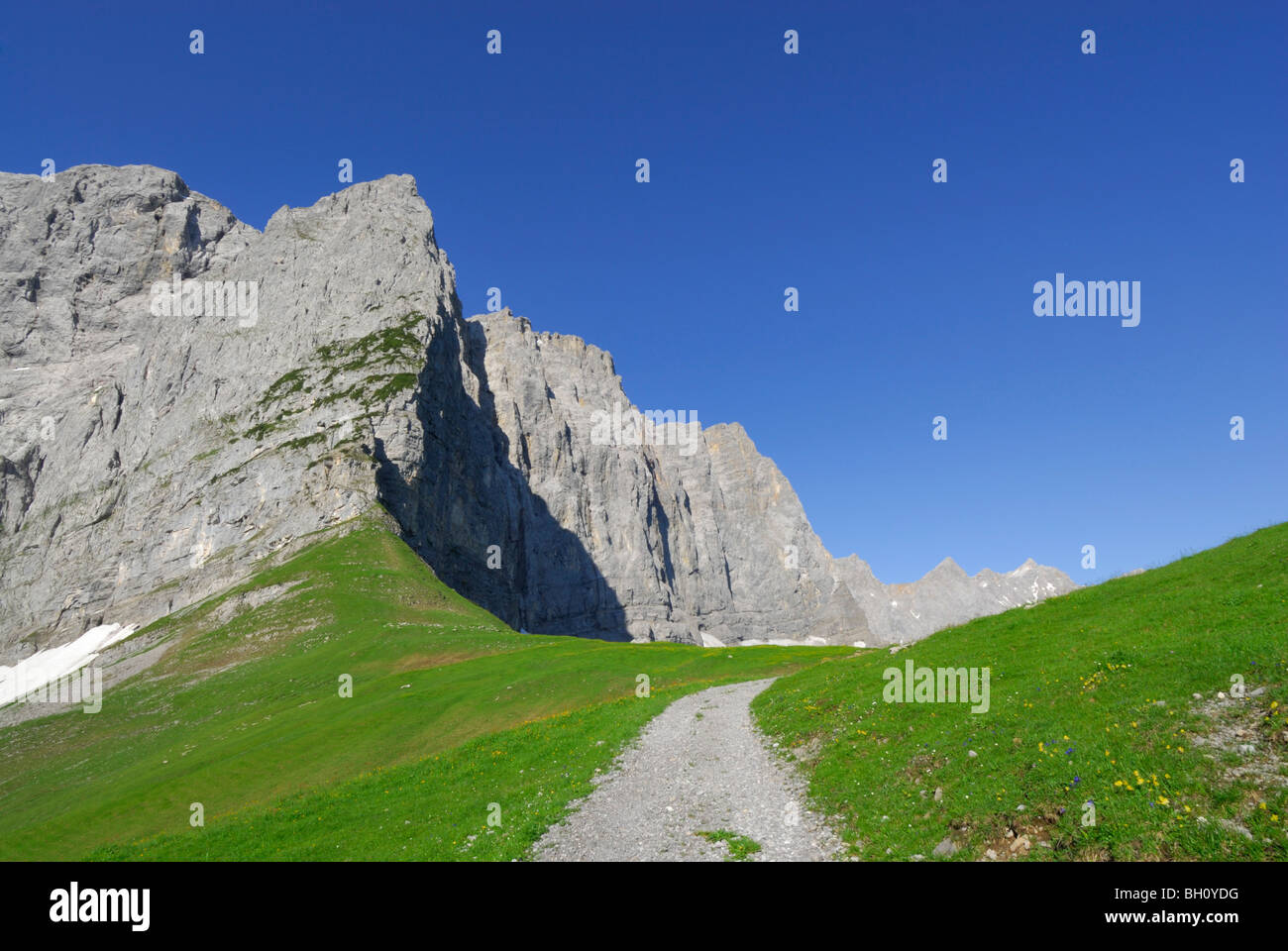 Pfad in Alm in Richtung Gebirge, Kerbe Hohljoch, Karwendel Bereich, Tirol, Österreich Stockfoto