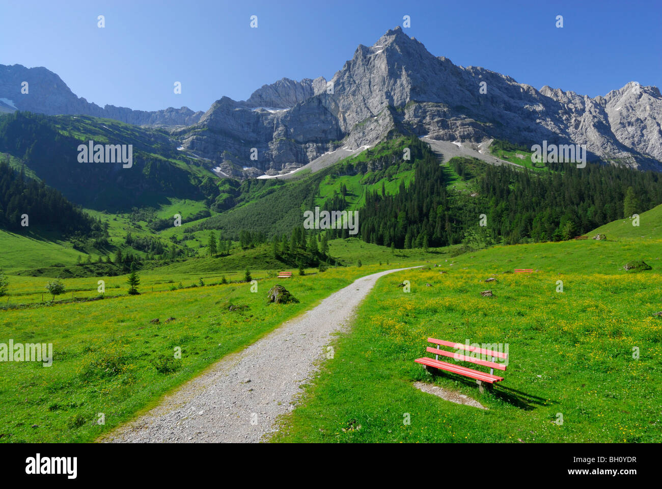Pfad in Alm führt in Richtung Gebirge mit roten Bank, Eng, Enger Alm, Karwendel Reichweite, Tirol, Österreich Stockfoto