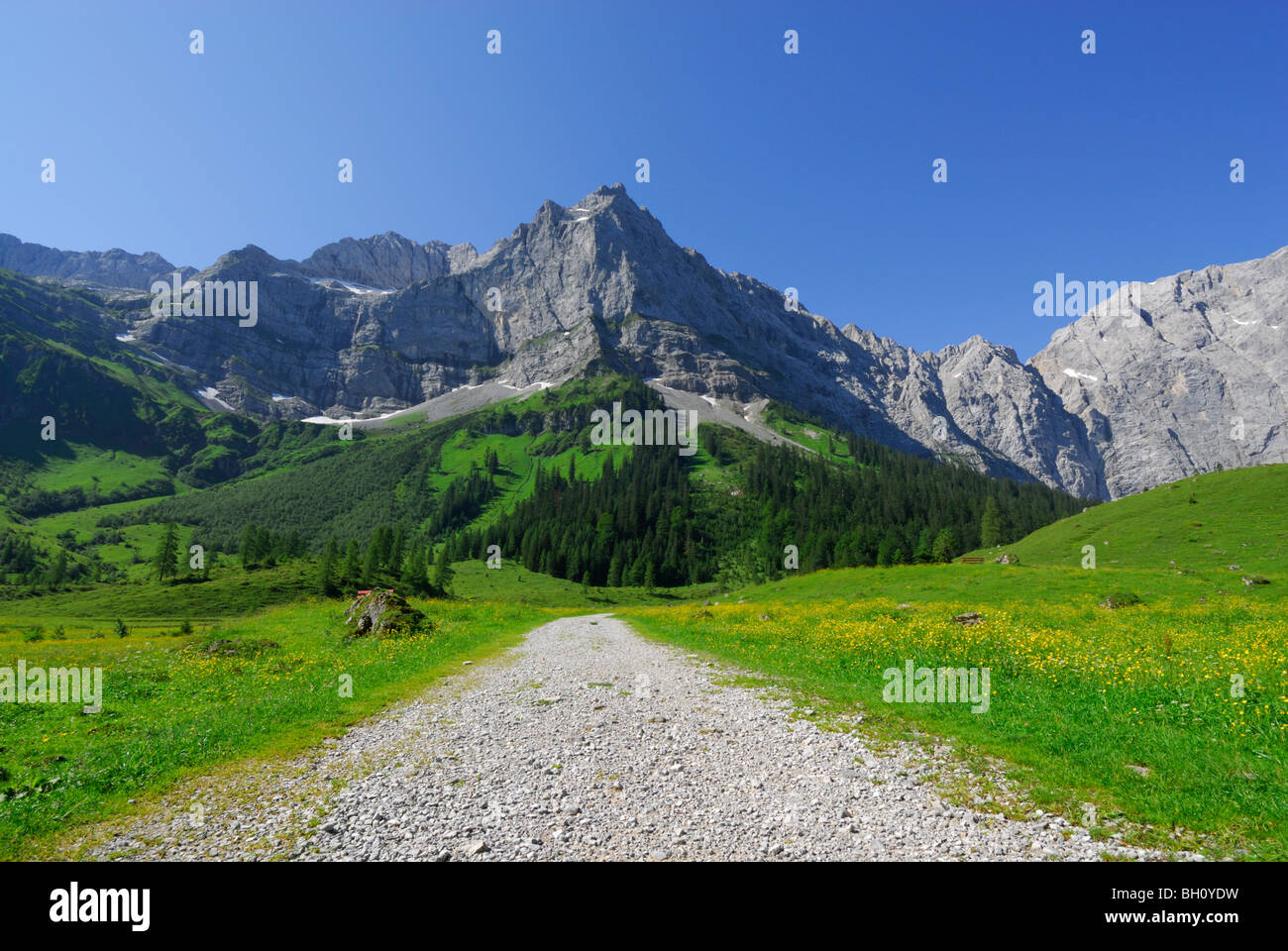 Pfad in Alm führt in Richtung Gebirge, Eng, Enger Alm, Karwendel Reichweite, Tirol, Österreich Stockfoto