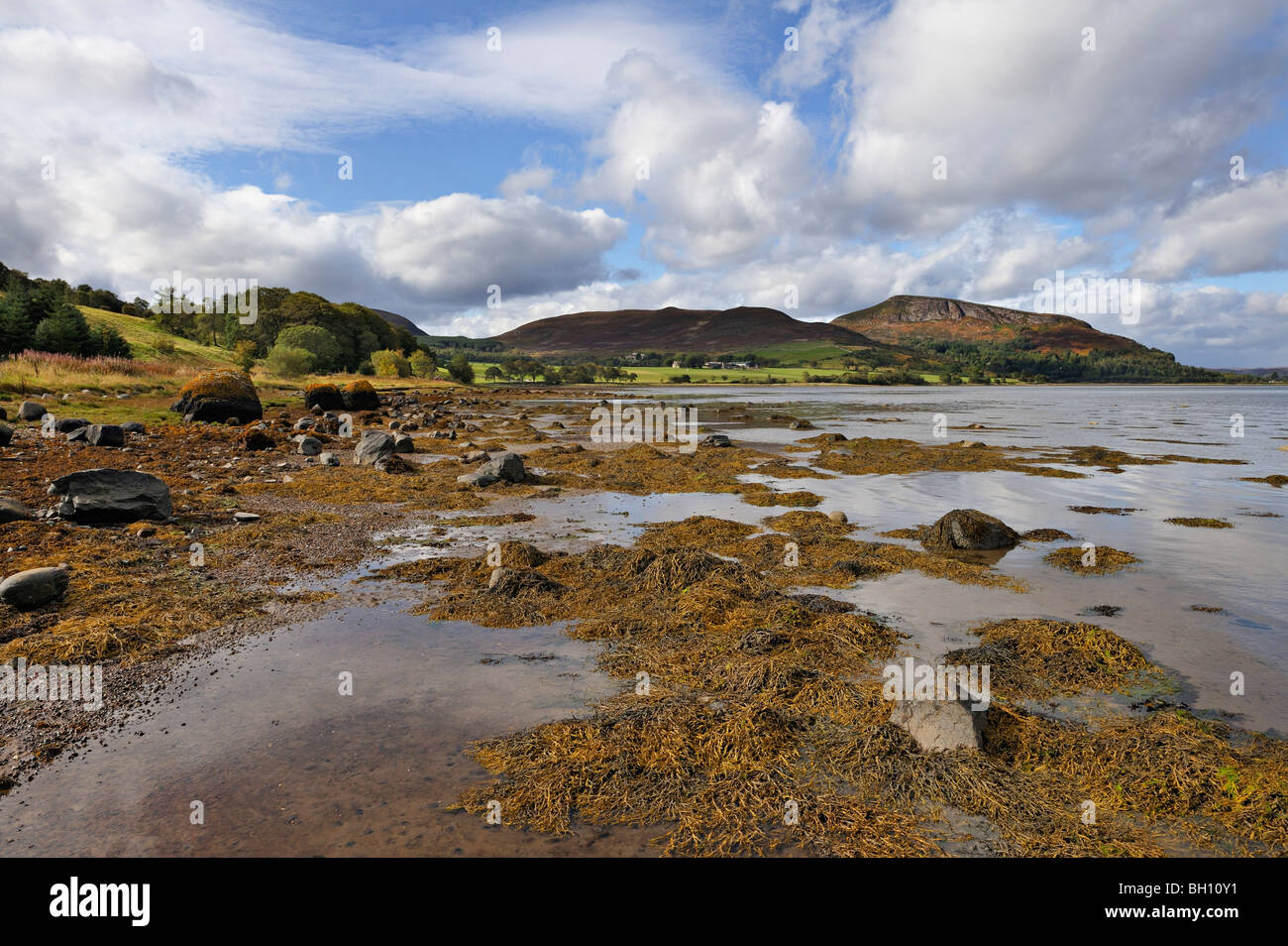Die Ufer des Loch Flotte National Nature Reserve und die Cambusavie-Hügel in der Nähe von Golspie, Sutherland, Schottland, UK. Stockfoto