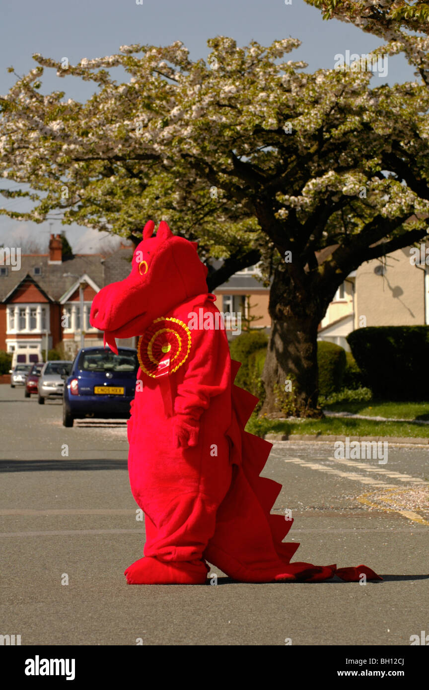 Labour Party Welsh roter Drache mit Rosette Kampagne auf den Straßen in den Wahlkreis Cardiff North South Wales UK Stockfoto