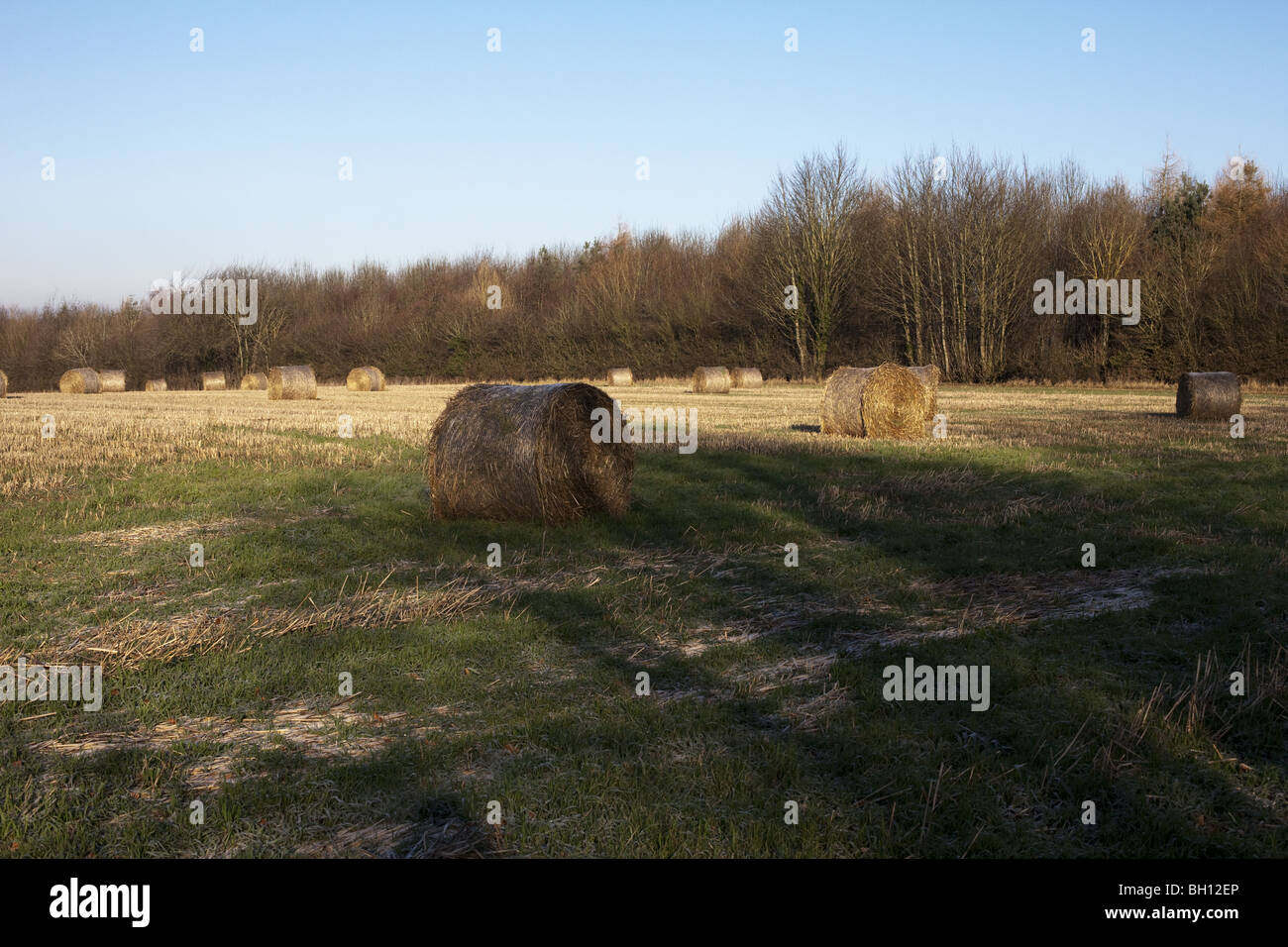 Heuballen an einem Wintertag Stockfoto