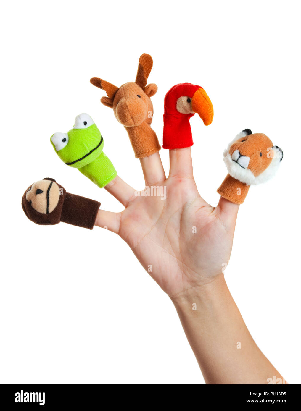 Weibliche Hand tragen 5 Fingerpuppen; Rentier, Papagei, Affe, Frosch; Löwe Stockfoto