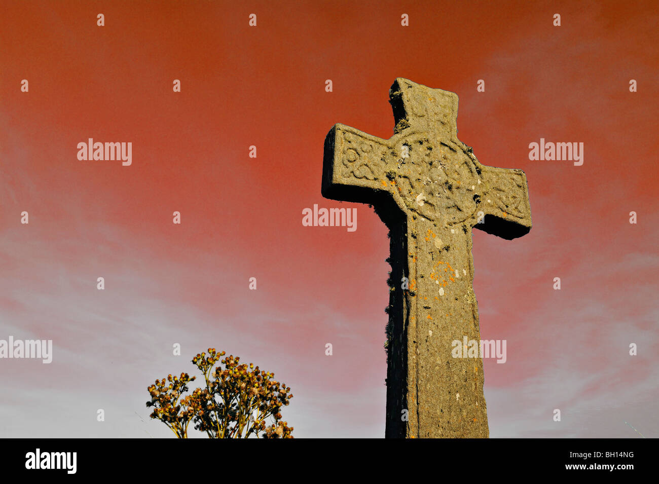 Alte Steinkreuz christliche in der Kildalton Kirche auf der Insel Islay, Südwest-Schottland, Vereinigtes Königreich. Stockfoto