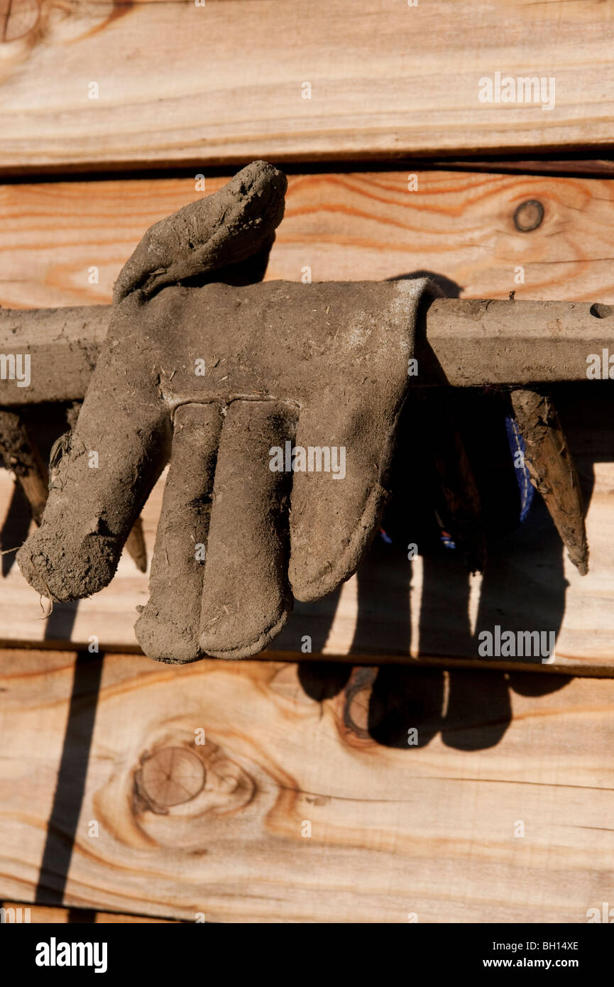 Gartenarbeit Handschuh auf einen Rechen gegen Schuppen Wand hängen Stockfoto