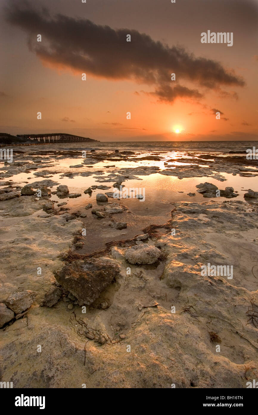Sonnenaufgang über dem Tidepools auf fossilen Korallenriff Kalkstein, Bahia Honda, Florida Keys, Florida. Stockfoto