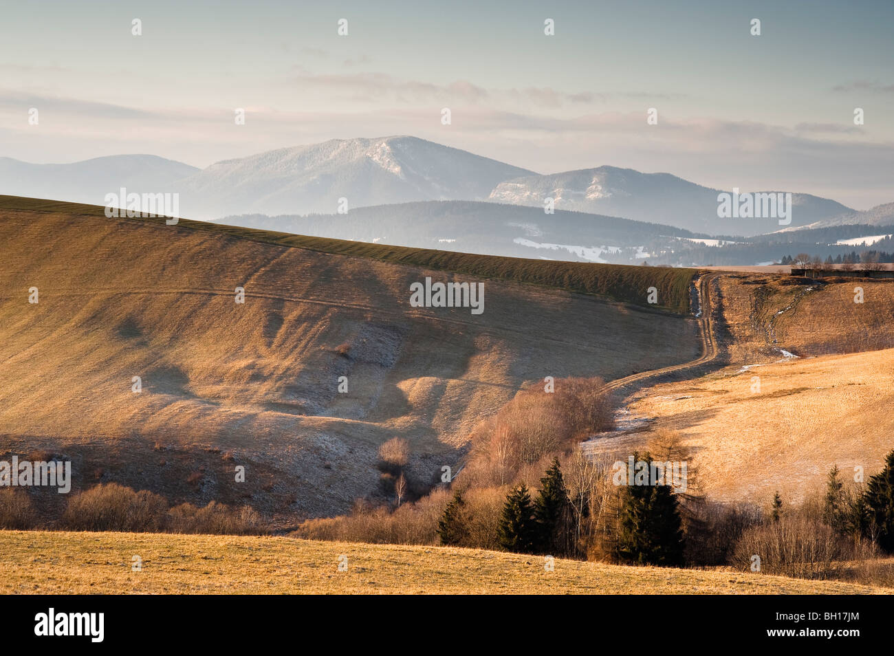 Winter-Felder und Berge auf Liptov, Slowakei Stockfoto