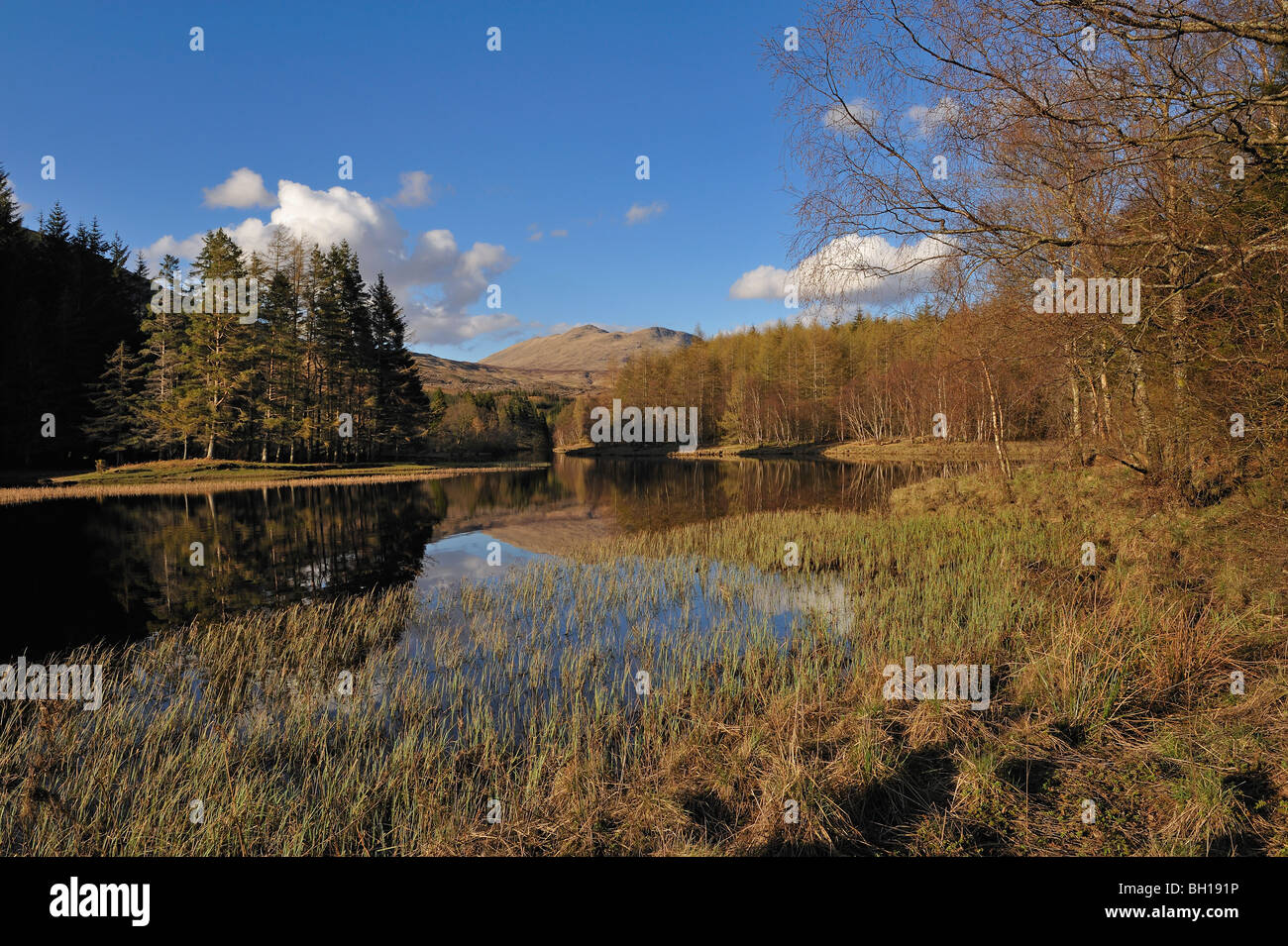 Späten Herbst Landschaft mit Bäumen entlang der Ufer des Loch Iubhair und die fernen Mühltal Hügel, schottischen Highlands, UK. Stockfoto