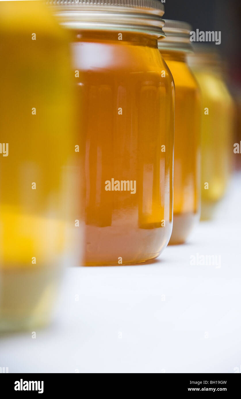 Ungekennzeichnete Gläser klar Honig bei einem Honig zeigen von hell zu dunkel Stockfoto