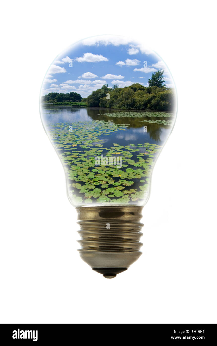 Landschaft mit Teich / See innen weißglühende Lampe / Birne vor weißem Hintergrund Stockfoto