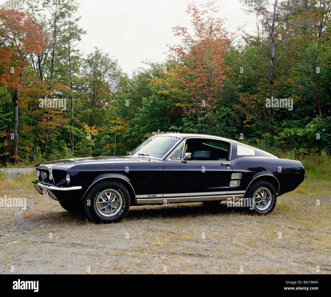 1966 Ford Mustang GTA Oldtimer, Waterloo, Quebec, Kanada Stockfoto