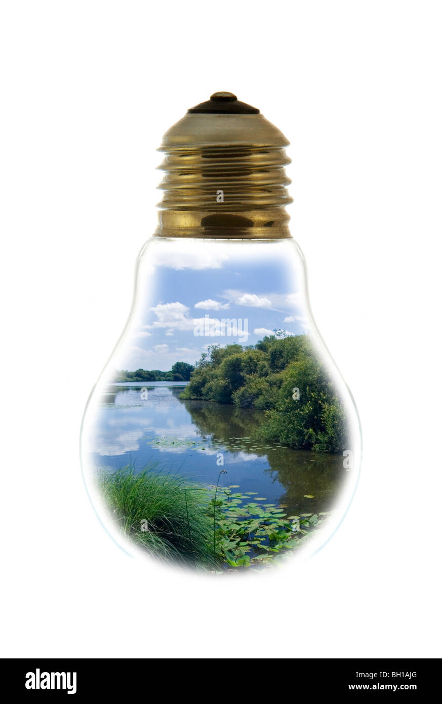 Landschaft mit Teich / See innen weißglühende Lampe / Birne vor weißem Hintergrund Stockfoto