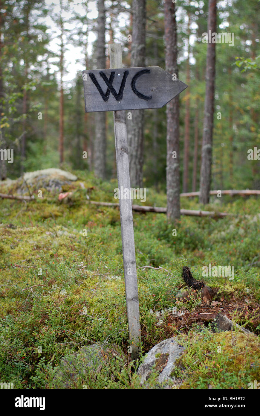WC-Schild im Wald Stockfoto