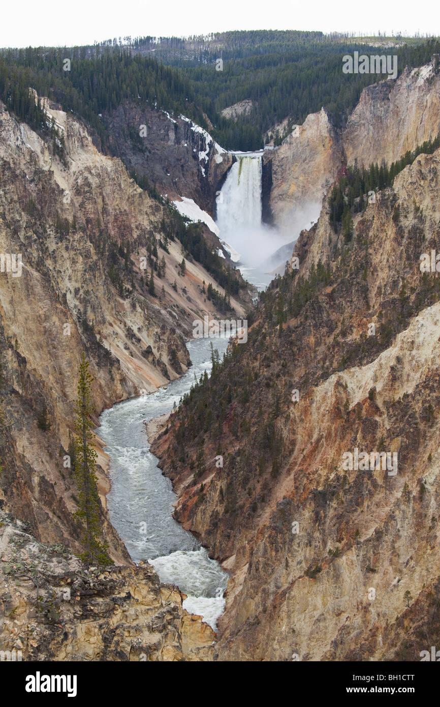 Lower Falls im Grand Canyon, Yellowstone-Nationalpark, Wyoming. Stockfoto