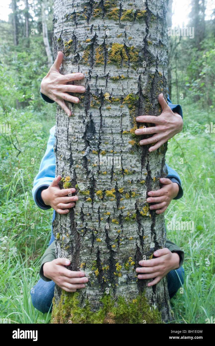 Drei Paar Hände um Baum, Manitoba, Kanada Stockfoto