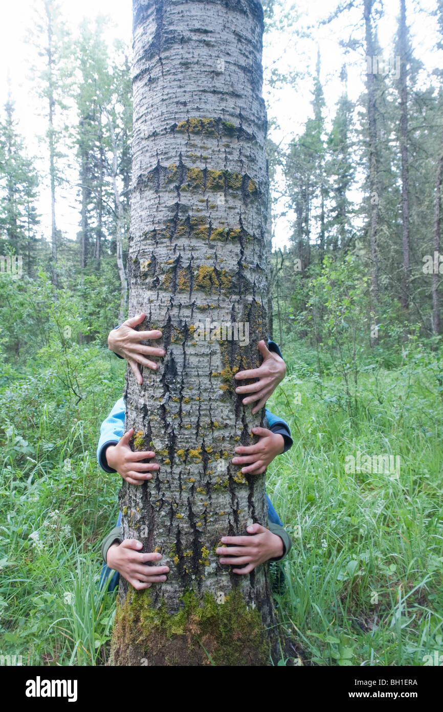 Drei Paar Hände um Baum, Manitoba, Kanada Stockfoto