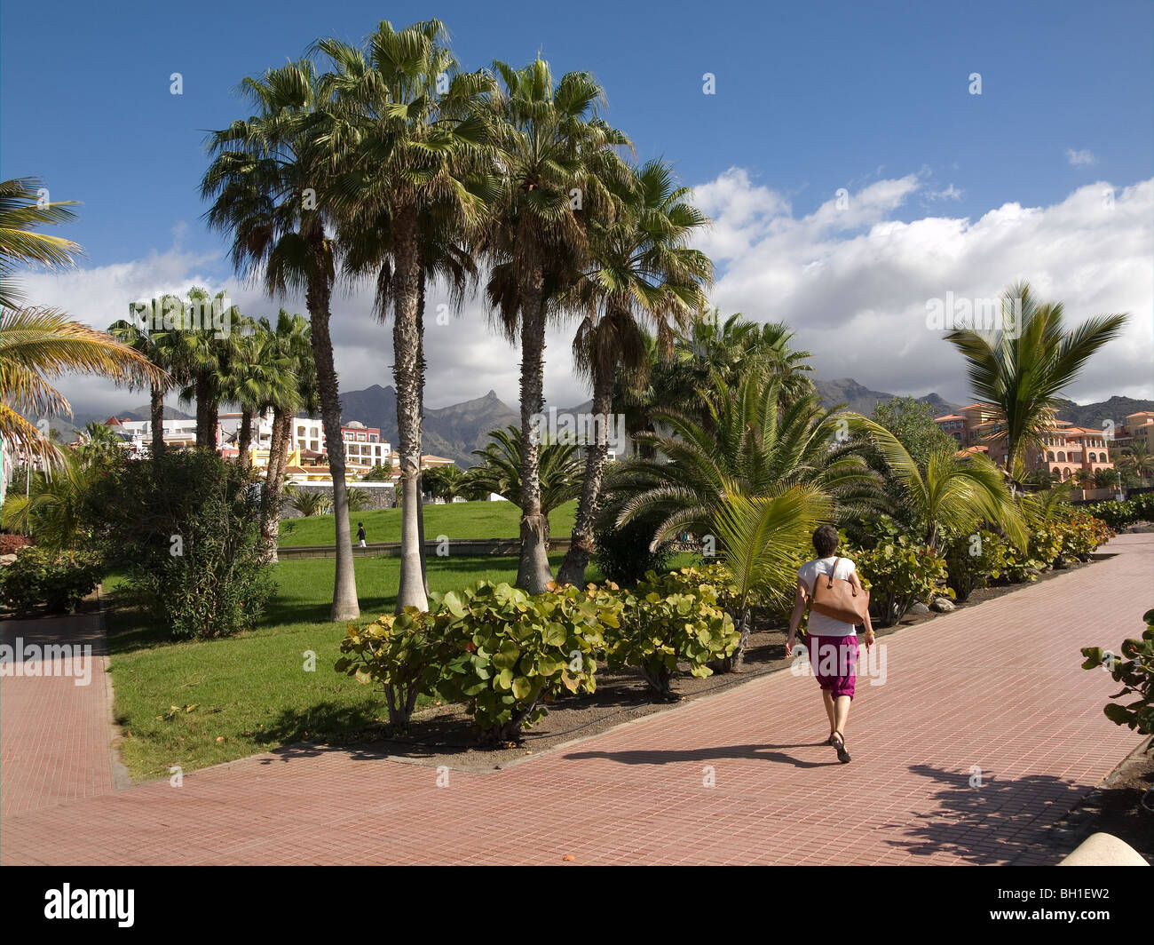 Eine Frau kommt an einer von Bäumen gesäumten Promenade im neuesten Markt Ferienort Playa del Duque Costa Adeje Süd Teneriffa Kanarische Inseln Stockfoto