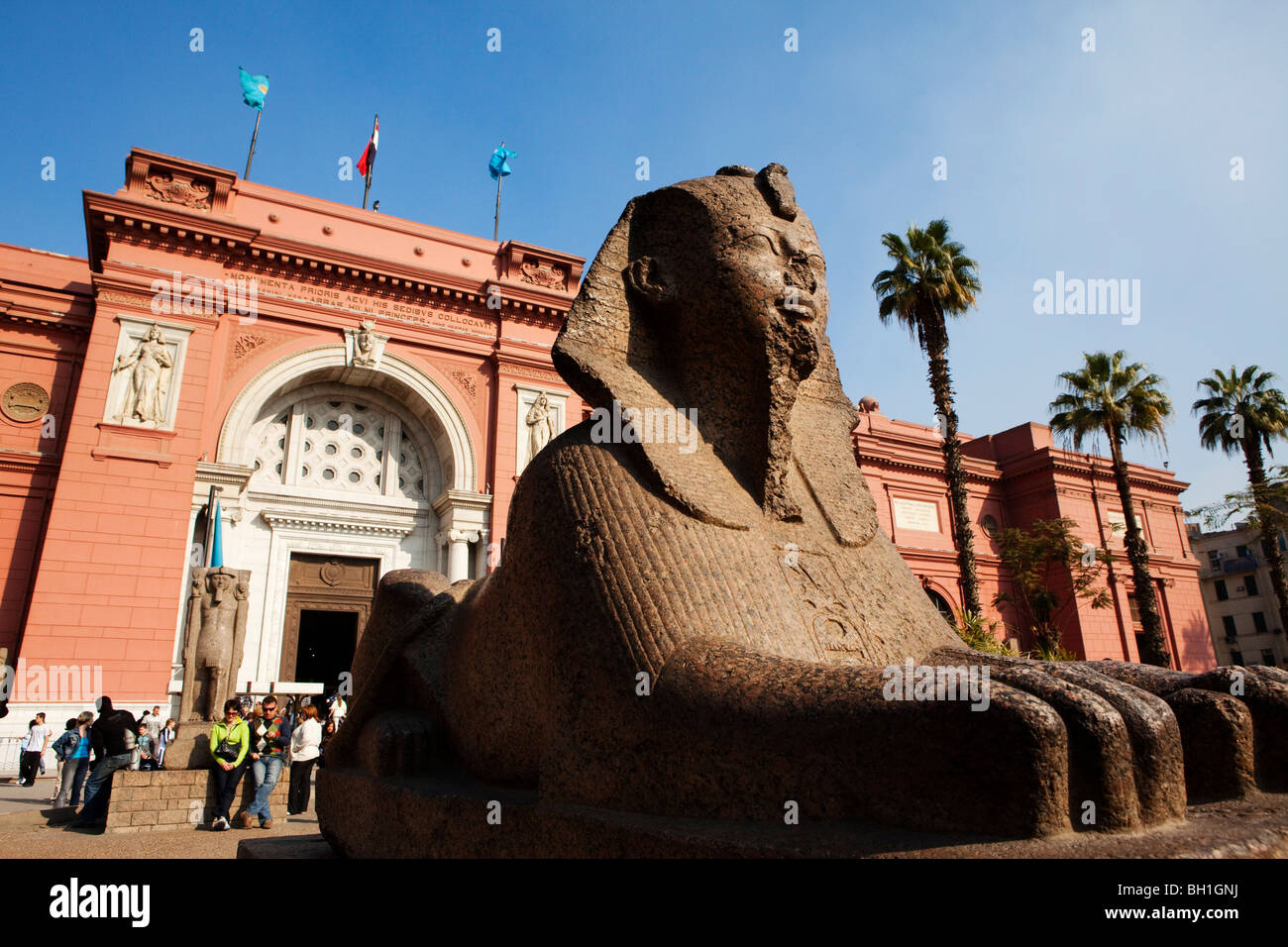 Sphinx vor der Fassade des ägyptischen Museums im Sonnenlicht, Kairo, Ägypten, Afrika Stockfoto