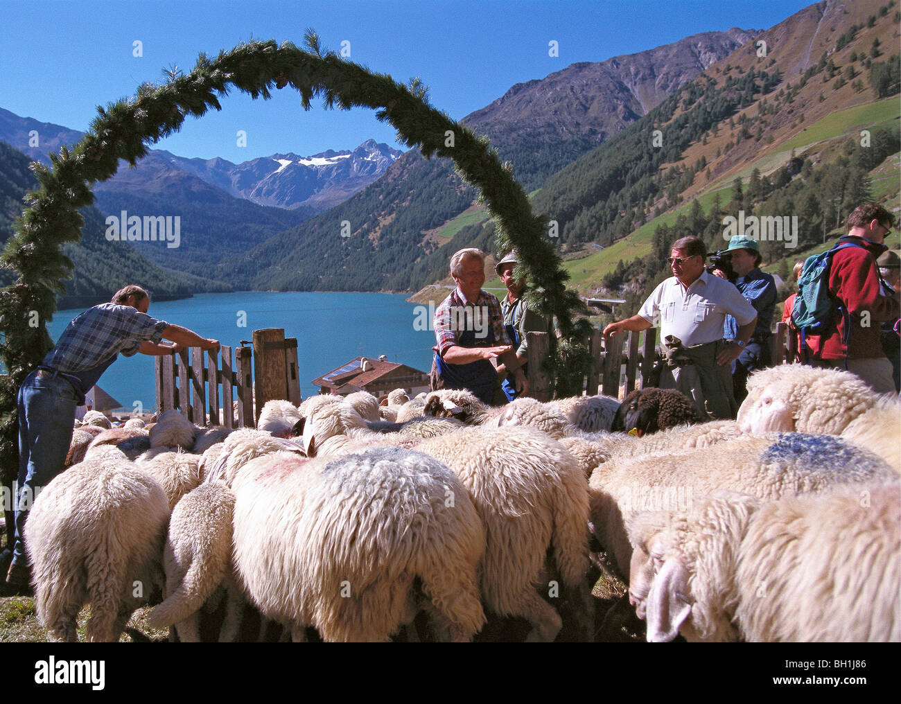 Schafherde mit Hirten auf einer Alm, Berglandschaft, Vernagt-Stausee Schnalstal, Ötztaler Alpen, Süden Tyr Stockfoto