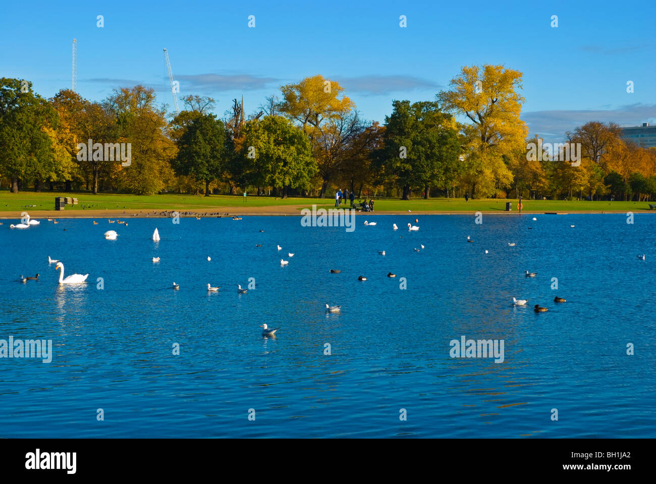 Runden Teich Kensington Gärten West London England UK Stockfoto