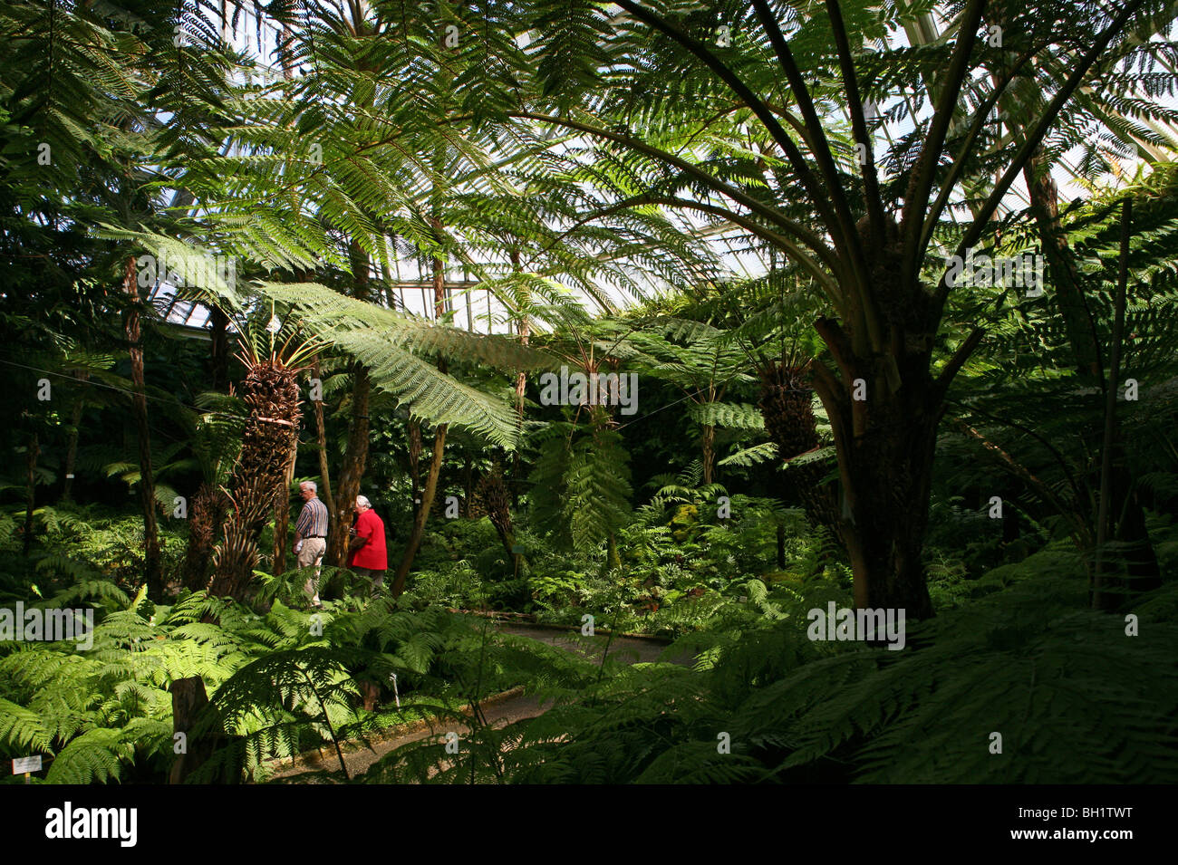 Botanischen Garten Dahlem Berlin. Stockfoto