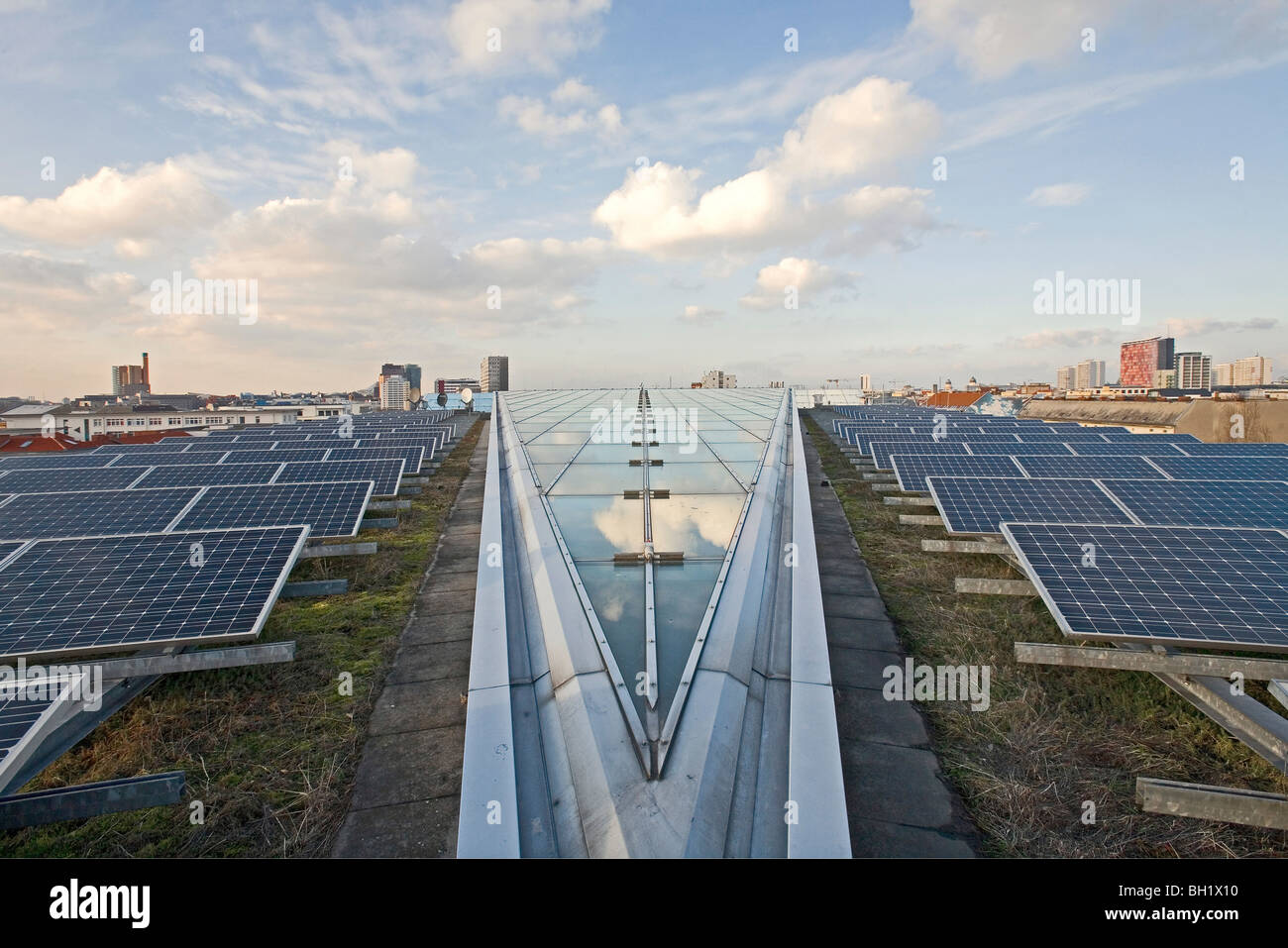 Solar-Panels auf dem Grasdach der Willy-Brandt-Haus-Zentrale der SPD Sozialdemokratische Partei Berlin, Deutschland Stockfoto