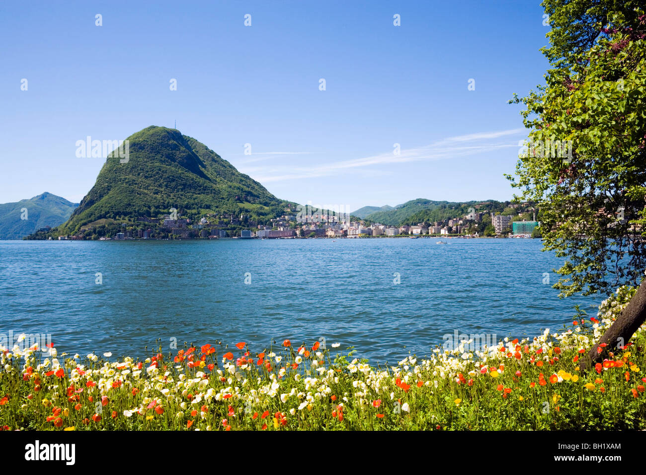 Parco Civico, Ugano, Luganersee, Tessin, Schweiz Stockfoto