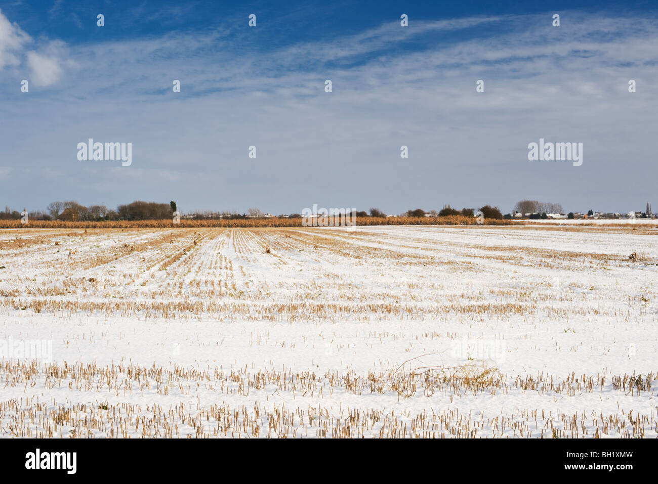 Landwirtschaftliche Flächen am Rande des Fenlands, nahe dem Dorf Auge, Peterborough, Cambridgeshire Stockfoto