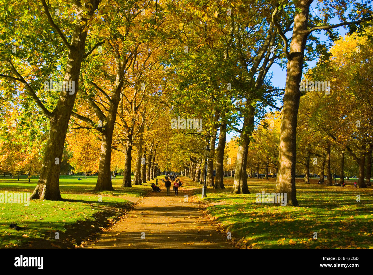 Herbst Green Park central London England UK Stockfoto