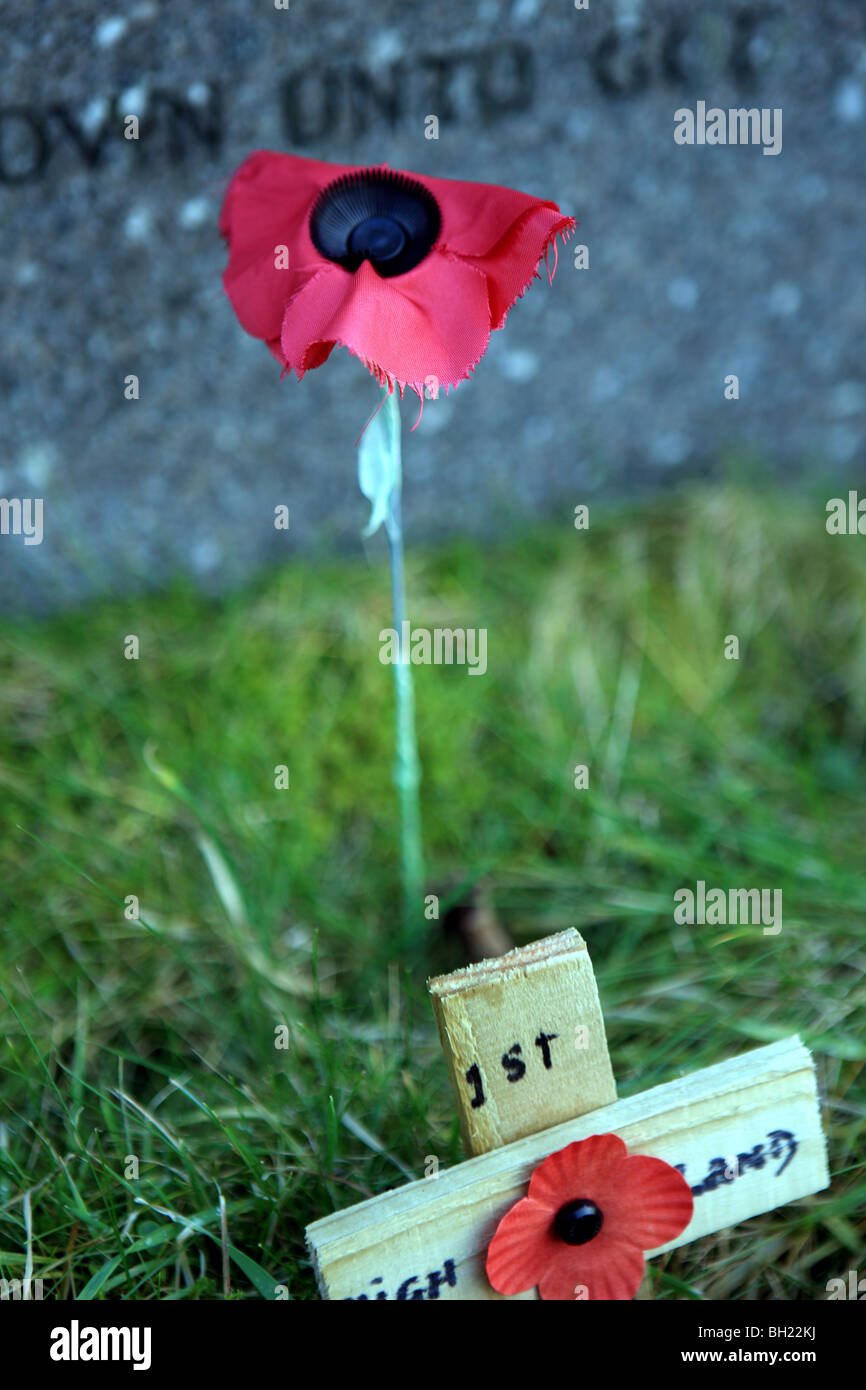 Mohn im Gedenken am Grab des unbekannten Soldaten Stockfoto