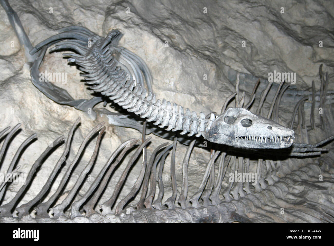 Mososaur prähistorischen Marine Reptil Modell Replica Stockfoto