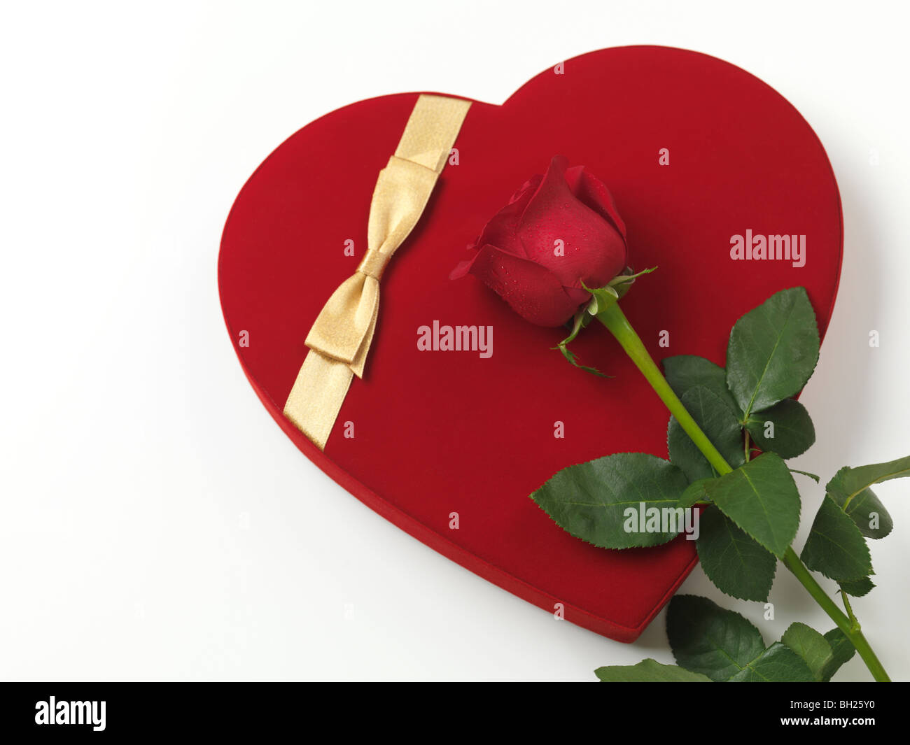 Rote, herzförmige Geschenkbox und eine rote Rose isoliert auf weißem Hintergrund Stockfoto