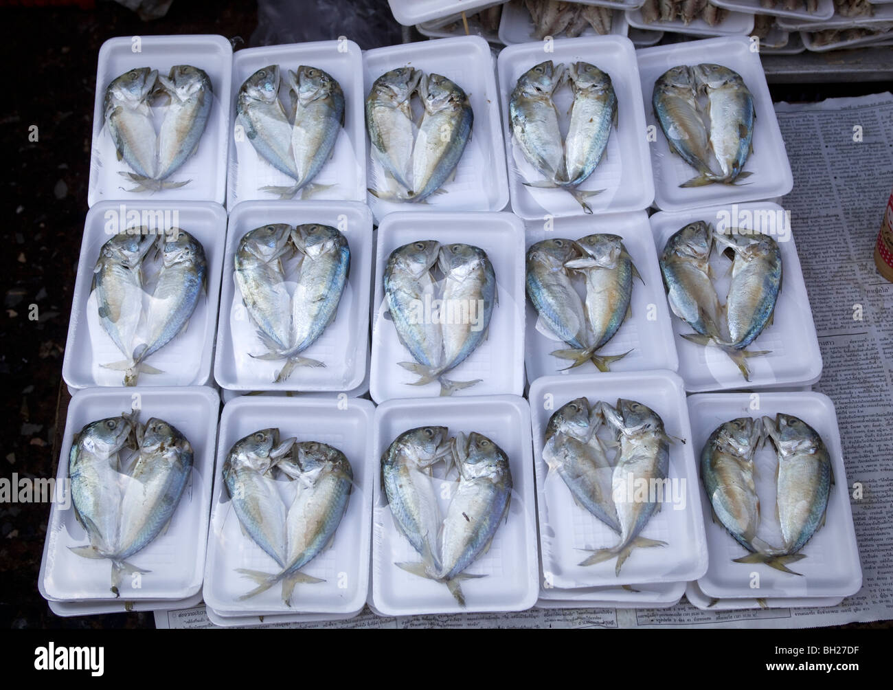 Verpackten Fische zum Verkauf Bangkok Thailand Stockfoto