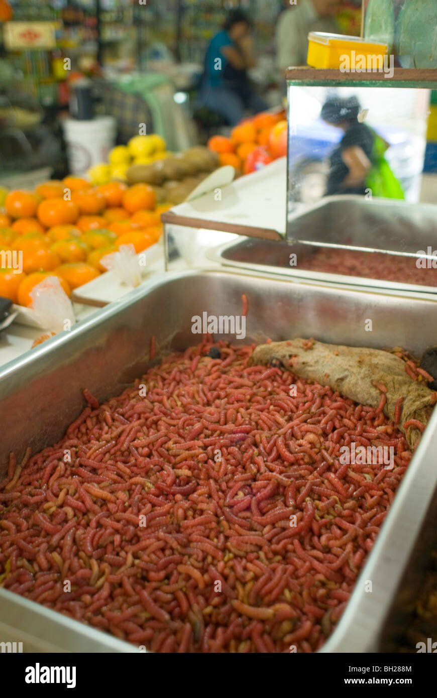 Auf dem Markt in der Innenstadt von Mexiko-Stadt San Juan sind essbar Maguey Kaktus Würmer zu verkaufen. Stockfoto