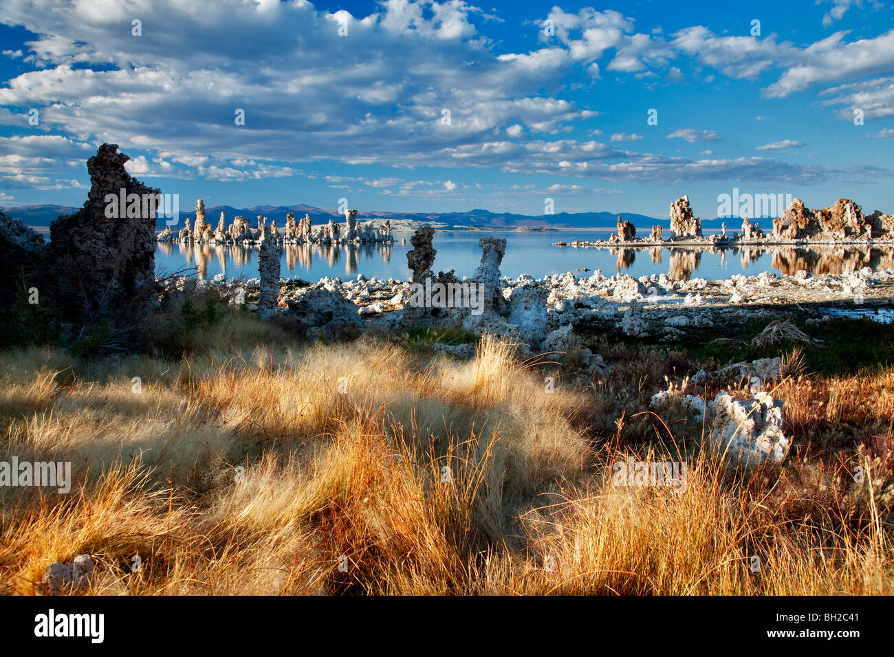 Gräser und Tuffstein am Mono Lake, Kalifornien Stockfoto
