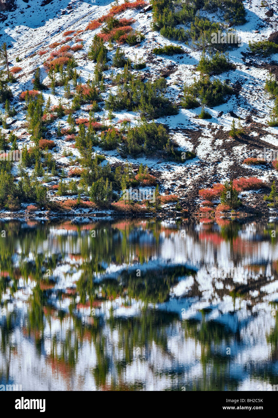 Ellery Lake mit Herbstfarben und Reflexion nach Schneefall. Inyo National Forest, Kalifornien Stockfoto