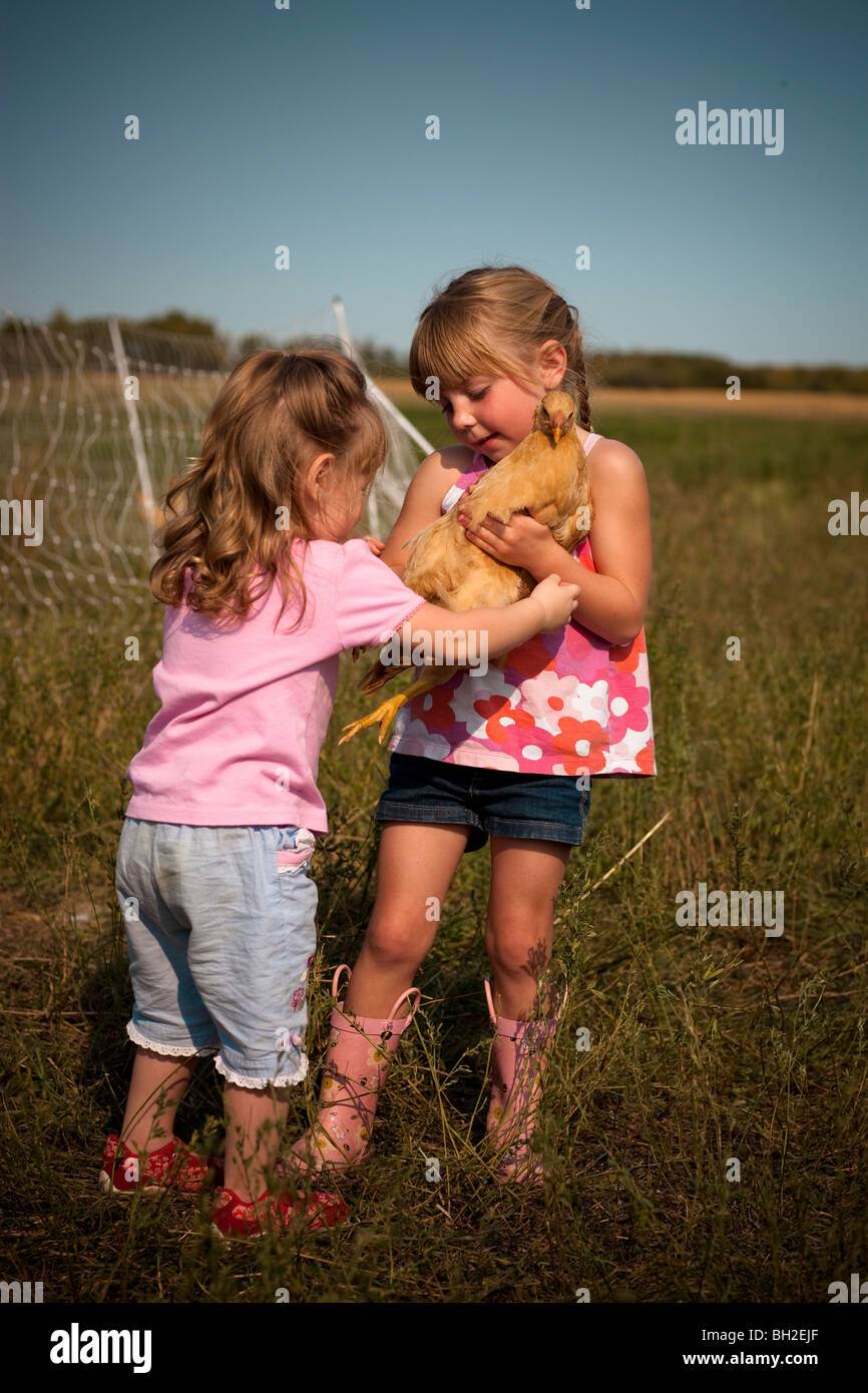 Zwei Jahre altes Mädchen und fünf Jahre altes Mädchen hält Huhn; Redvers, Saskatchewan, Kanada Stockfoto