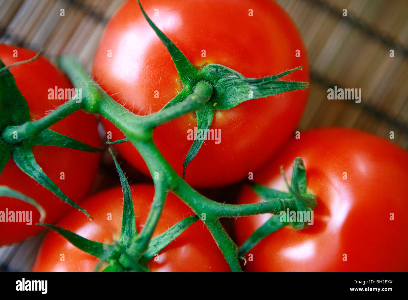 Frisch geschnittene italienische Tomaten auf einem Tisch Stockfoto