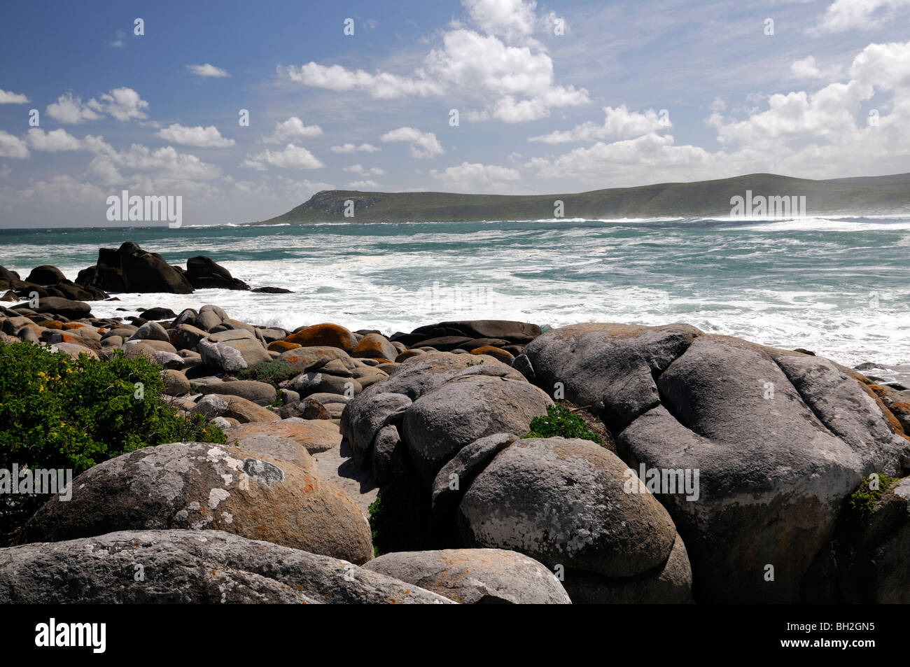 windige Wind stürmischer Tag Wetter postberg Abschnitt West Coast Nationalpark Wetsern Kap Süd Aftrica Boulder beach Atlantik Stockfoto