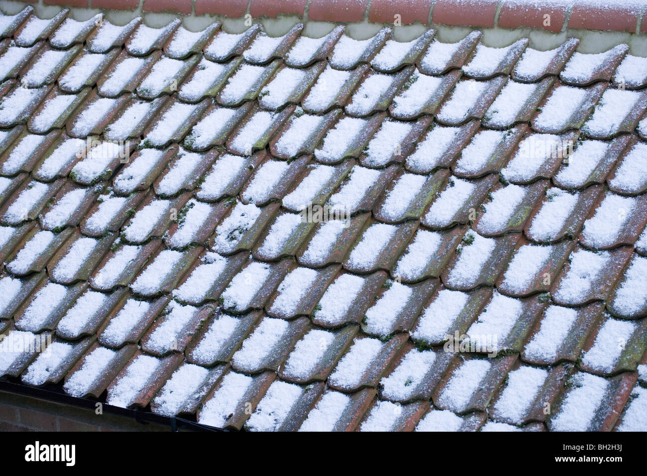 Schnee und Hagel Steinen auf Flachdachziegel Dach von einem Nebengebäude. Ingham, Norfolk. Stockfoto