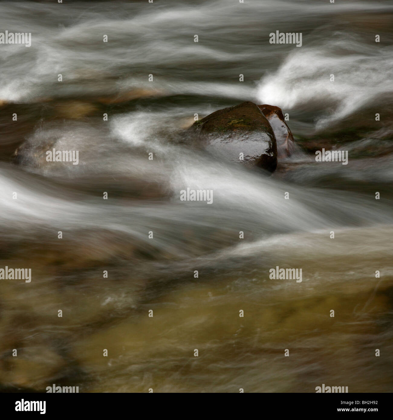 Nedd Fechan Fluss, Pontneddfechan, Brecon Beacons, Wales, UK Stockfoto