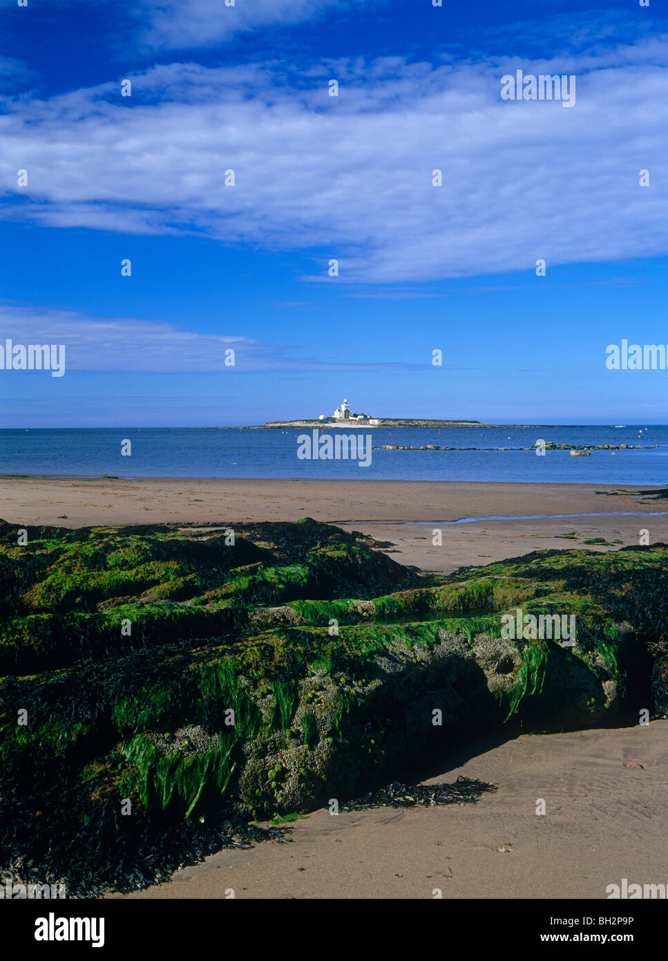 Einen Blick auf Coquet Island vor der Küste von Northumberland in der Nähe von Amble, Northumberland Stockfoto