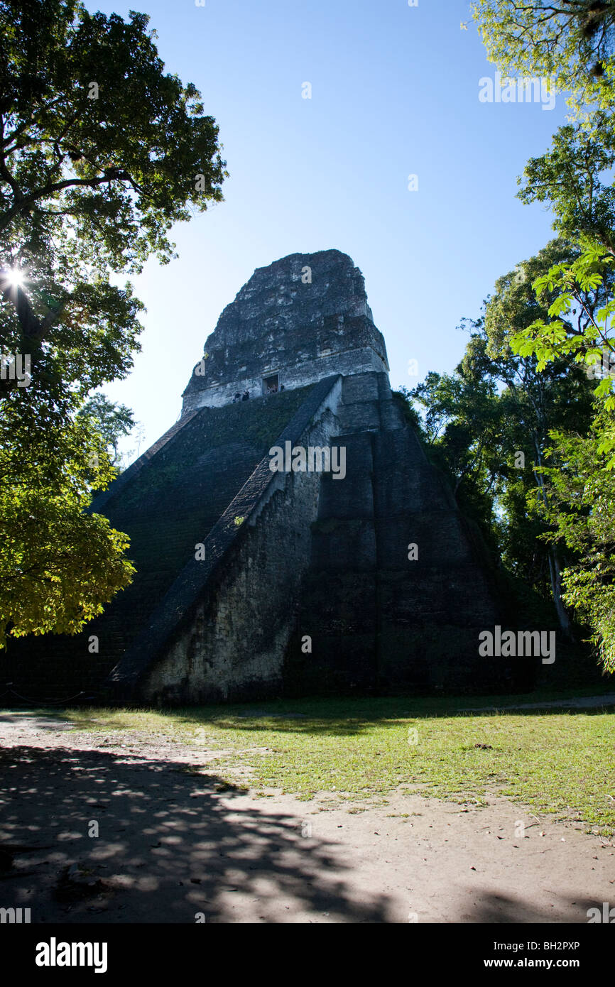 Tempel V Bau in Tikal archäologischen Stätte. Guatemala. Stockfoto