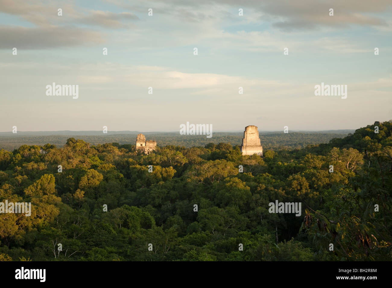 Sonnenuntergang in Tikal Archäologie Website. Stockfoto