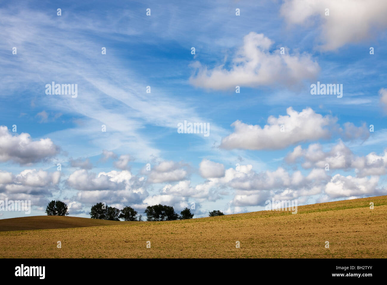 Herbstlandschaft, Insel Rügen, Deutschland Stockfoto