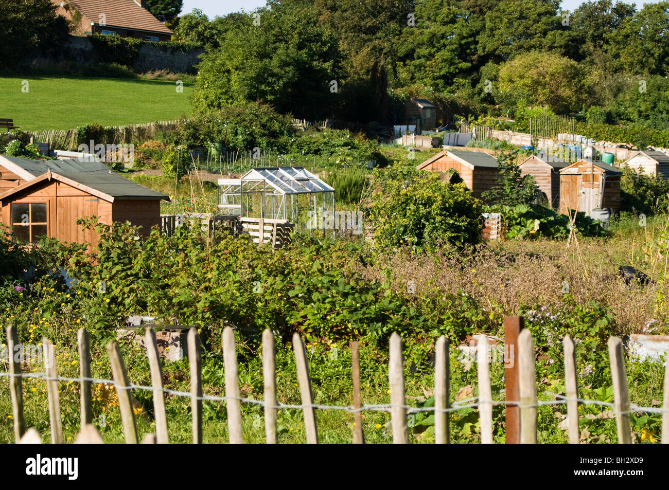 Zuteilung Parzellen mit hölzernen Schuppen und Gewächshaus/Glashaus mit Holzzaun im Vordergrund Stockfoto