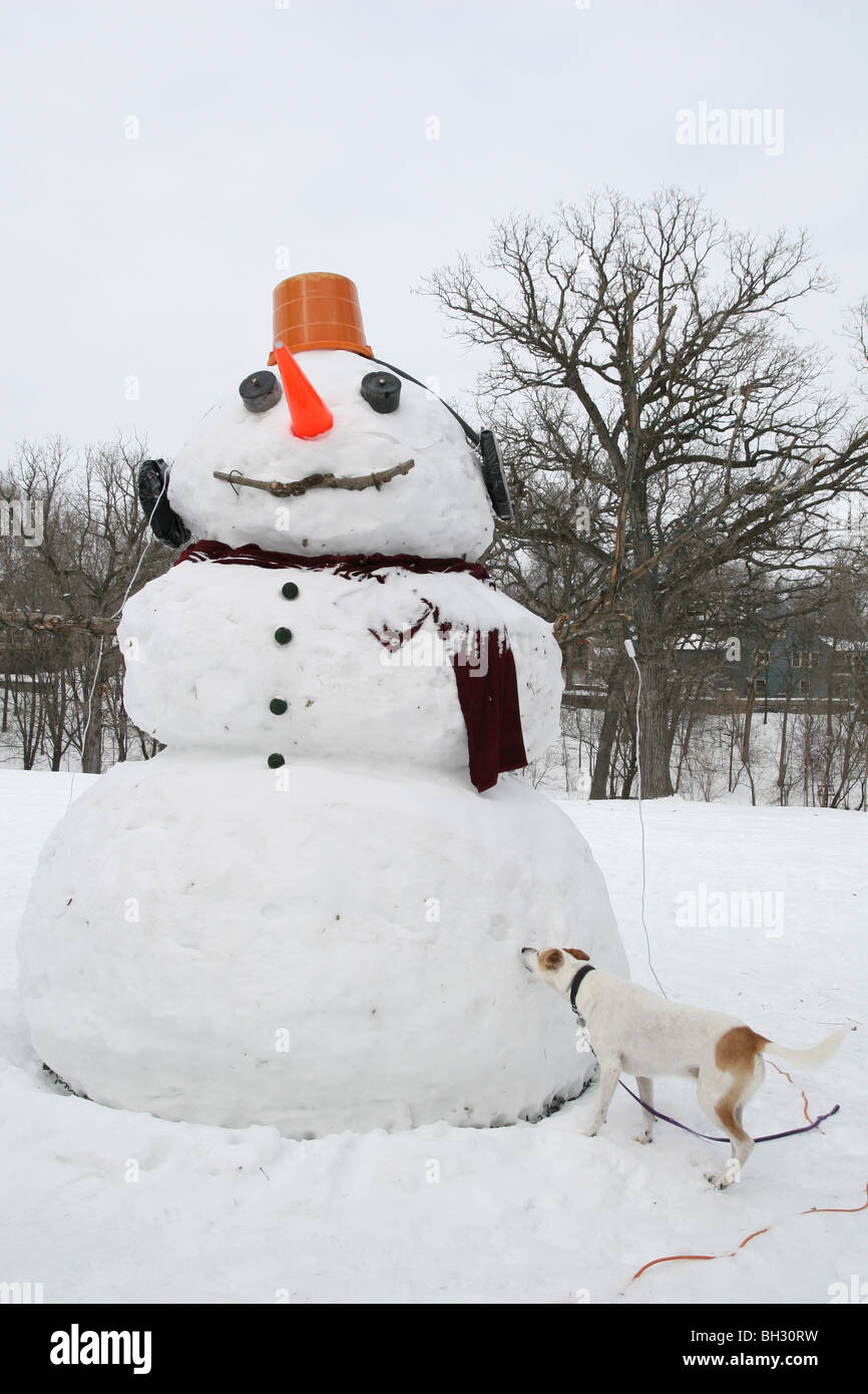 Ein Hund steht neben einem riesigen Schneemann Stockfotografie - Alamy