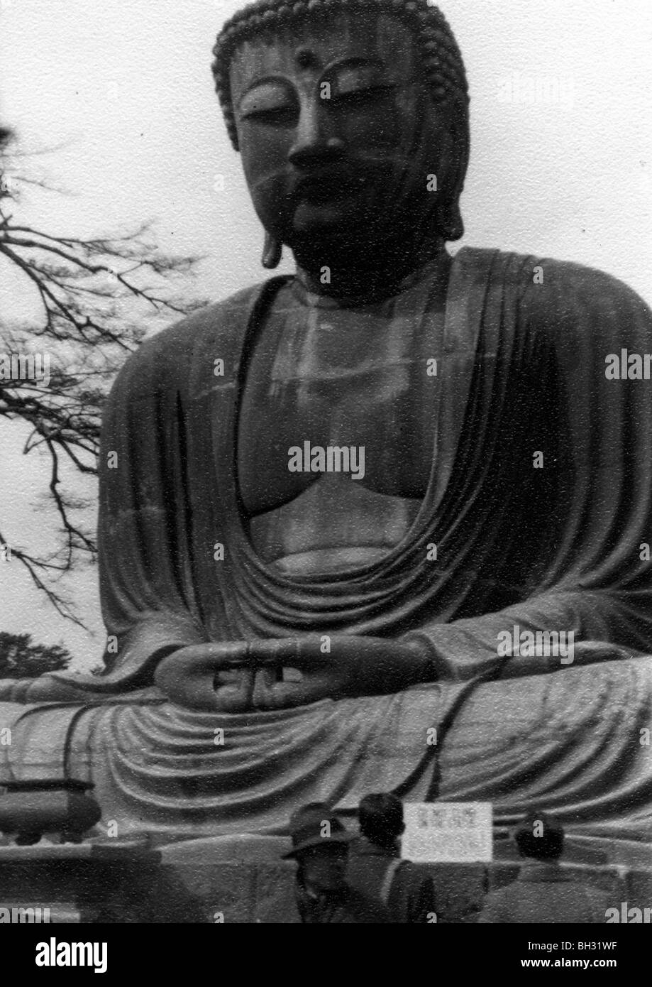 Der große Buddha von Kamakura ist eine Bronzestatue des Amida Buddha und auf dem Gelände des Kotokuin-Tempels. Stockfoto