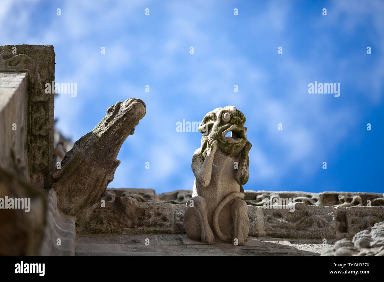 Wasserspeier, Kathedrale von Quimper, Handelsverträge des Finistere, Bretagne, Frankreich Stockfoto