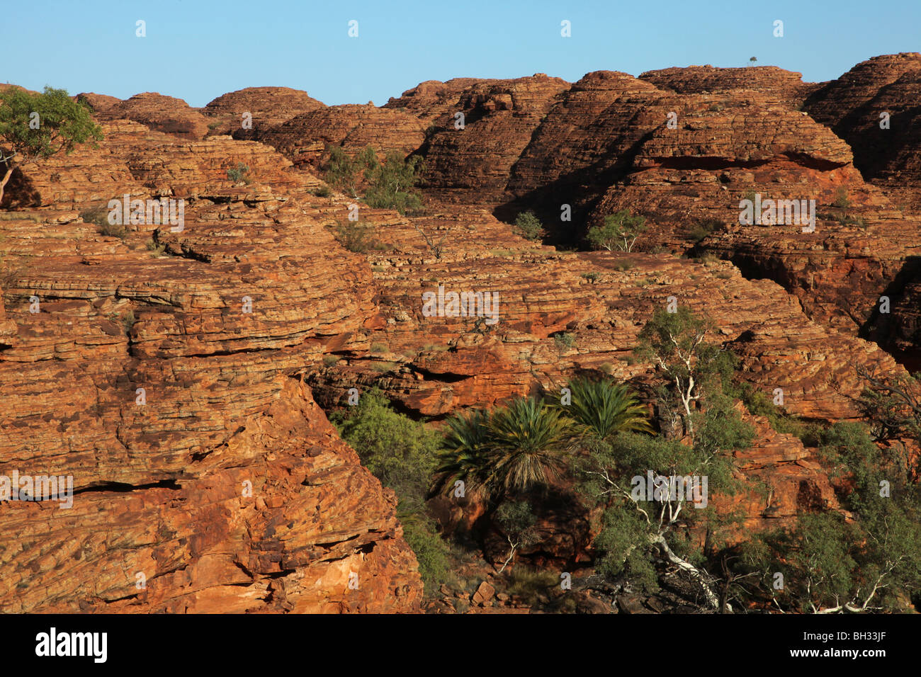 Kings Canyon National Park NT Australien Stockfoto